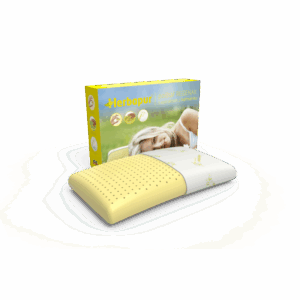 MPO polštářek HERBAPUR H REGENAX, 60x40x13 cm