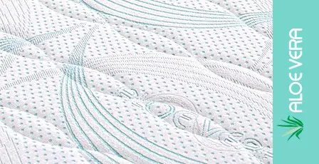 Aloe vera